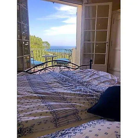 Petit Comfortable Hotel